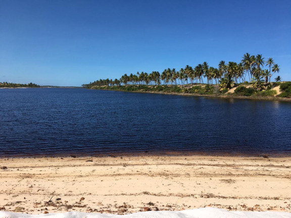 Imagem Terreno à Venda, 450 m² em Costa Do Sauipe - Mata De São João Imagem Terreno à Venda, 450 m² em Costa Do Sauipe - Mata De São João
