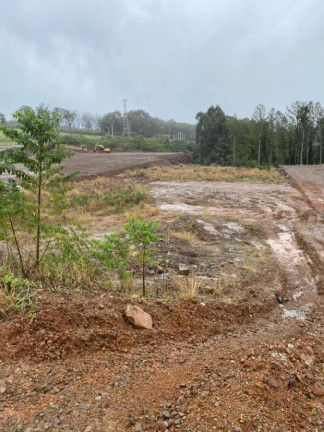Imagem Terreno à Venda, 3.000 m² em Primavera - Concórdia Imagem Terreno à Venda, 3.000 m² em Primavera - Concórdia