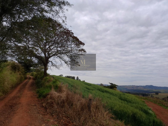 Imagem Terreno à Venda, 2.600 m² em Tomazina - Tomazina