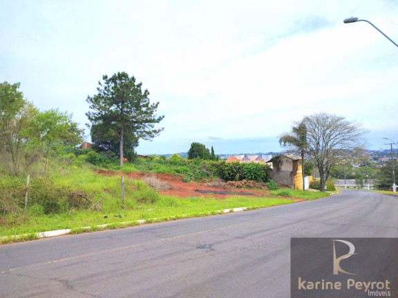 Imagem Terreno à Venda, 385 m² em Campestre - São Leopoldo