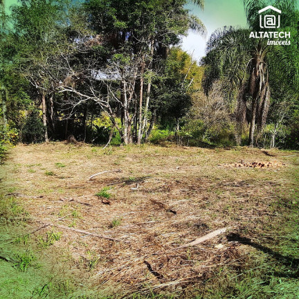 Imagem Imóvel com 3 Quartos à Venda, 18.900 m² em Afonso (rural) - Bandeira Do Sul Imagem Imóvel com 3 Quartos à Venda, 18.900 m² em Afonso (rural) - Bandeira Do Sul