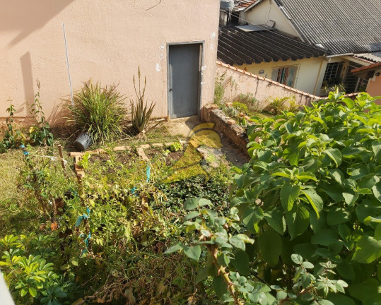 Imagem Terreno à Venda, 250 m² em Jardim Monte Kemel - São Paulo