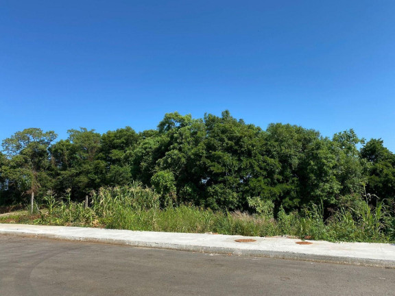 Imagem Terreno à Venda, 7.000 m² em Rural - Concórdia Imagem Terreno à Venda, 7.000 m² em Rural - Concórdia