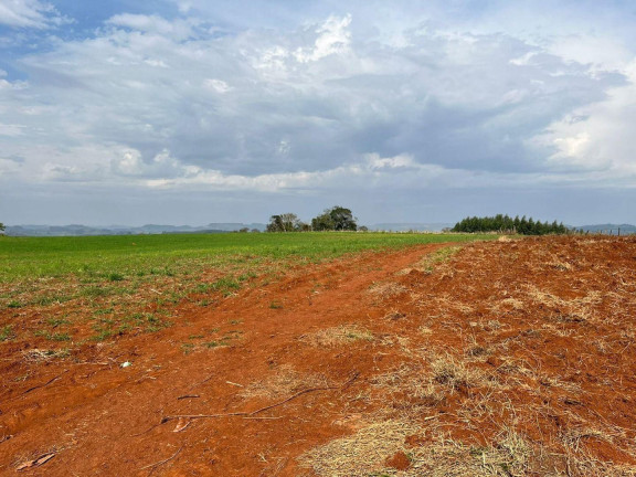 Imagem Terreno à Venda, 30.000 m² em Rural - Concórdia Imagem Terreno à Venda, 30.000 m² em Rural - Concórdia