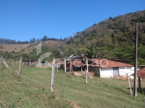 Imagem Fazenda à Venda, 100 m² em Monte Belo - Taubaté Imagem Fazenda à Venda, 100 m² em Monte Belo - Taubaté