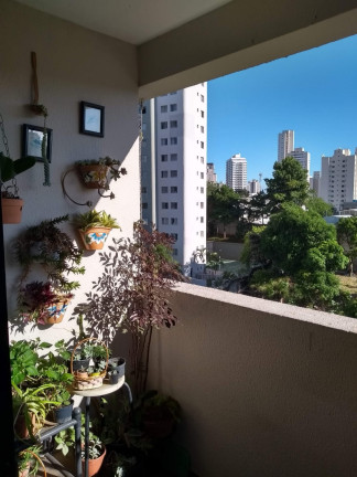 Imagem Imóvel com 3 Quartos à Venda, 71 m² em Vila Firmiano Pinto - São Paulo