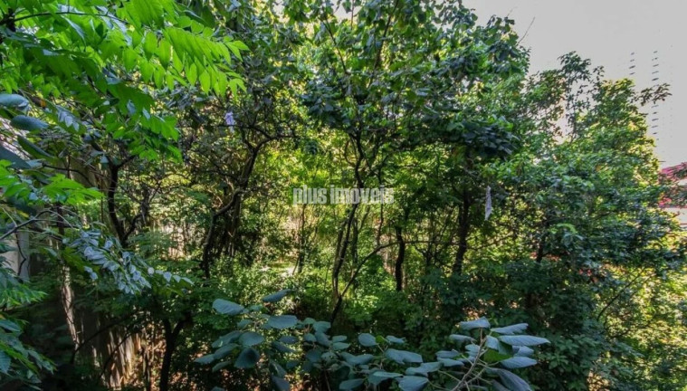 Imagem Apartamento com 2 Quartos à Venda, 70 m² em Real Parque - São Paulo Imagem Apartamento com 2 Quartos à Venda, 70 m² em Real Parque - São Paulo