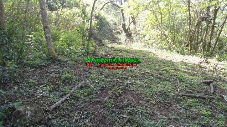 Imagem Chácara à Venda, 72.600 m² em São Francisco Xavier - São José Dos Campos Imagem Chácara à Venda, 72.600 m² em São Francisco Xavier - São José Dos Campos