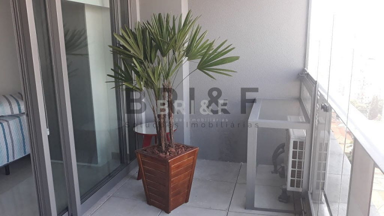 Imagem Apartamento com 1 Quarto para Alugar, 40 m² em Brooklin Paulista - São Paulo Imagem Apartamento com 1 Quarto para Alugar, 40 m² em Brooklin Paulista - São Paulo
