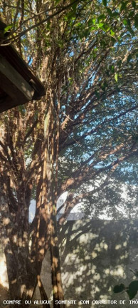 Imagem Casa com 3 Quartos à Venda, 139 m² em Vila São Carlos - Taubaté Imagem Casa com 3 Quartos à Venda, 139 m² em Vila São Carlos - Taubaté