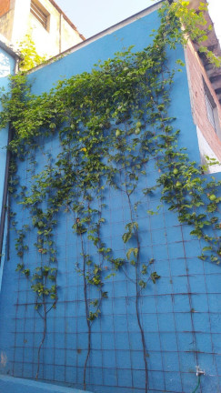 Imagem Galpão para Alugar, 340 m² em Jardim Marajoara - São Paulo