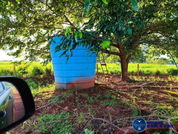 Imagem Chácara à Venda, 8 m² em Zona Rural - Taquaral De Goiás Imagem Chácara à Venda, 8 m² em Zona Rural - Taquaral De Goiás