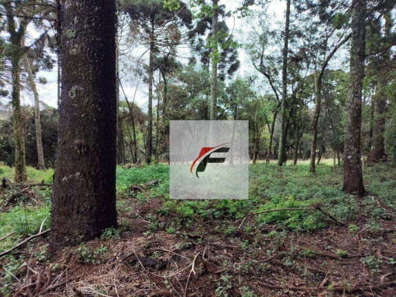 Terreno à Venda, 4.987 m² em Umbará - Curitiba