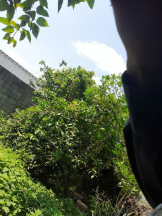 Imagem Casa com 2 Quartos à Venda, 60 m² em Novo Riacho - Contagem Imagem Casa com 2 Quartos à Venda, 60 m² em Novo Riacho - Contagem