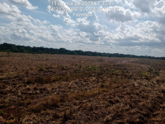 Imagem Fazenda à Venda, 3.600 m² em Nova Brasilândia Imagem Fazenda à Venda, 3.600 m² em Nova Brasilândia