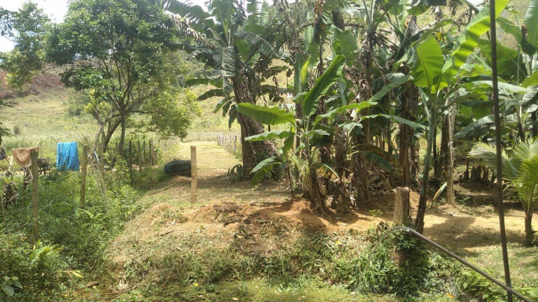 Imagem Chácara com 1 Quarto à Venda, 1.000 m² em Praia Da Maranduba - Ubatuba