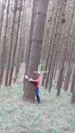 Imagem Fazenda à Venda, 4.477.000 m² em Zona Rural - Bocaiúva Do Sul