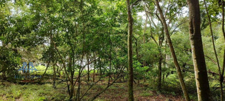Imagem Terreno à Venda, 471 m² em Córrego Grande - Florianópolis
