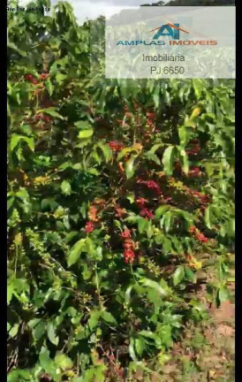 Imagem Fazenda à Venda, 35 m² em Manhumirim