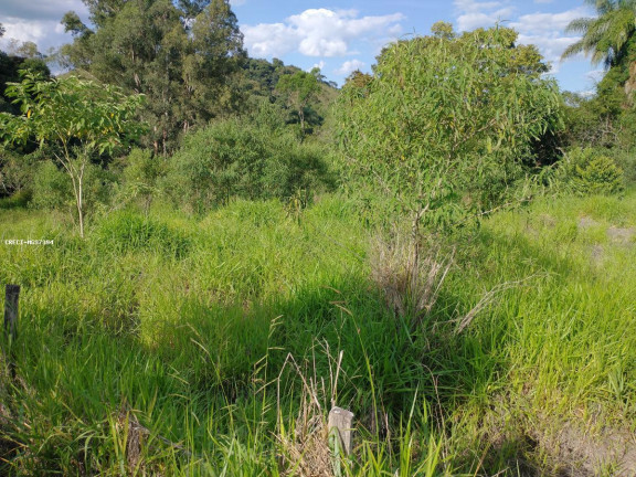Imagem Chácara à Venda, 1.000 m² em Rio Verde - Caldas Imagem Chácara à Venda, 1.000 m² em Rio Verde - Caldas
