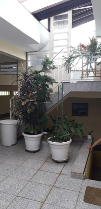 Imagem Sobrado com 3 Quartos à Venda, 230 m² em Vila Ré - São Paulo Imagem Sobrado com 3 Quartos à Venda, 230 m² em Vila Ré - São Paulo
