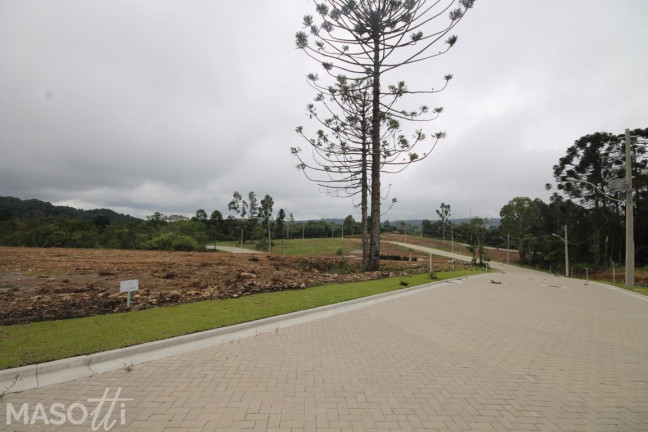 Imagem Terreno à Venda, 670 m² em Linha ávila Alta - Gramado Imagem Terreno à Venda, 670 m² em Linha ávila Alta - Gramado