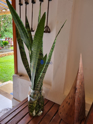 Imagem Imóvel com 6 Quartos à Venda, 250 m² em Abadiania - Abadiânia Imagem Imóvel com 6 Quartos à Venda, 250 m² em Abadiania - Abadiânia