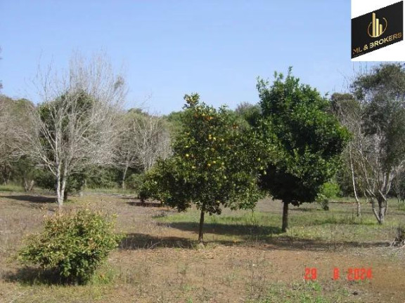 Imagem Imóvel com 4 Quartos à Venda, 84.000 m² em Jardim Itaqui - Campo Largo Imagem Imóvel com 4 Quartos à Venda, 84.000 m² em Jardim Itaqui - Campo Largo
