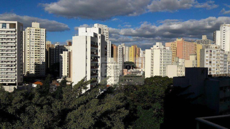 Imagem Apartamento para Alugar, 56 m² em Vila Itapura - Campinas Imagem Apartamento para Alugar, 56 m² em Vila Itapura - Campinas