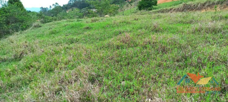 Imagem Imóvel à Venda, 31.000 m² em Capim Da Angola - Paraibuna