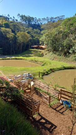 Imagem Chácara com 4 Quartos à Venda, 300 m² em Morro Azul - Paraibuna Imagem Chácara com 4 Quartos à Venda, 300 m² em Morro Azul - Paraibuna