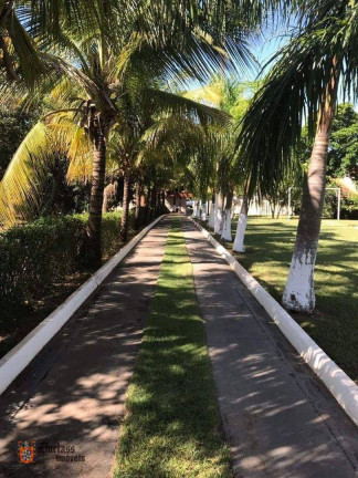 Imagem Chácara com 3 Quartos à Venda, 170 m² em Zona Rural - Três Fronteiras