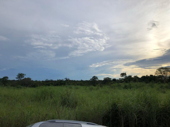 Imagem Fazenda à Venda,  em Rural - Figueirópolis