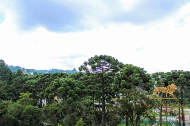 Imagem Apartamento com 3 Quartos à Venda, 180 m² em Morro Do Elefante - Campos Do Jordão Imagem Apartamento com 3 Quartos à Venda, 180 m² em Morro Do Elefante - Campos Do Jordão