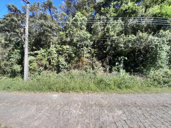 Imagem Terreno à Venda, 2.610 m² em Carlos Guinle - Teresópolis Imagem Terreno à Venda, 2.610 m² em Carlos Guinle - Teresópolis