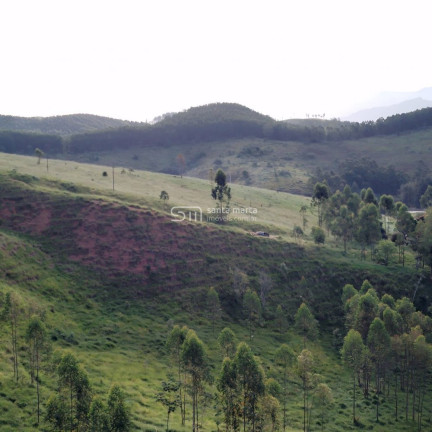 Imagem Imóvel com 2 Quartos à Venda, 266.000 m² em Branco - Lavrinhas Imagem Imóvel com 2 Quartos à Venda, 266.000 m² em Branco - Lavrinhas
