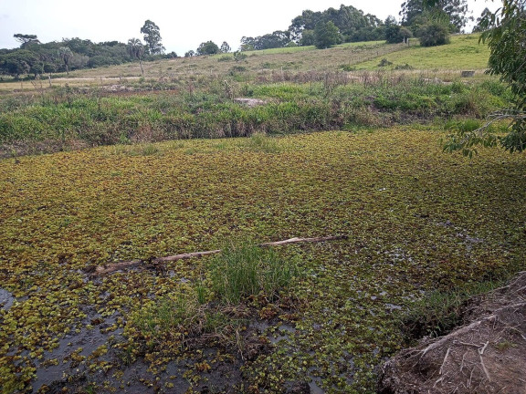 Imagem Chácara à Venda, 10.000 m² em águas Claras - Viamão