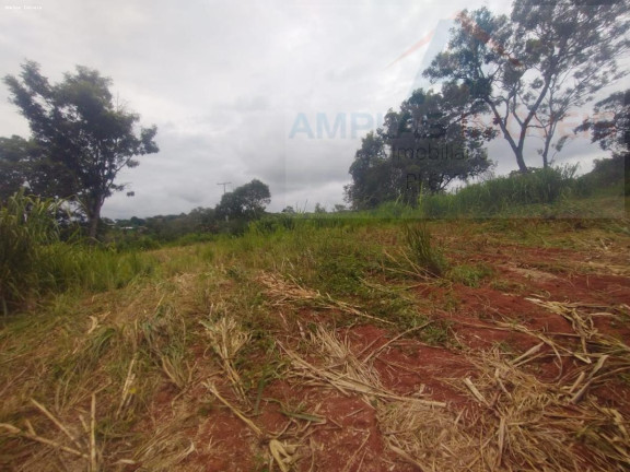 Imagem Chácara à Venda, 1.000 m² em Imperatriz - Mateus Leme Imagem Chácara à Venda, 1.000 m² em Imperatriz - Mateus Leme