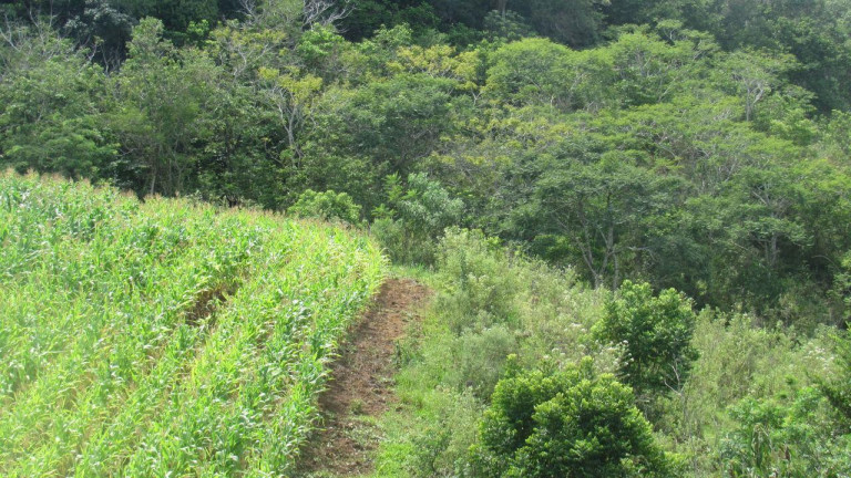 Imagem Terreno à Venda, 120.000 m² em Rural - Concórdia Imagem Terreno à Venda, 120.000 m² em Rural - Concórdia