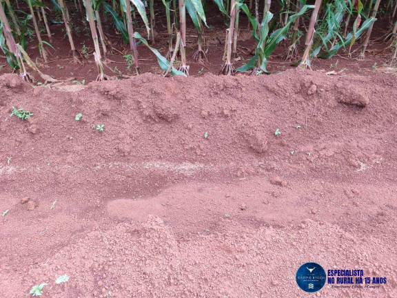 Imagem Chácara à Venda, 8 m² em Zona Rural - Taquaral De Goiás Imagem Chácara à Venda, 8 m² em Zona Rural - Taquaral De Goiás