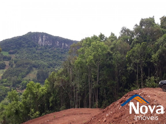 Imagem Imóvel à Venda, 31.701 m² em Linha Pirajá Baixa - Nova Petrópolis Imagem Imóvel à Venda, 31.701 m² em Linha Pirajá Baixa - Nova Petrópolis
