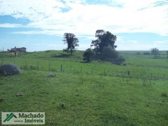 Imagem Imóvel à Venda, 200.000 m² em Rural - São Sepé Imagem Imóvel à Venda, 200.000 m² em Rural - São Sepé
