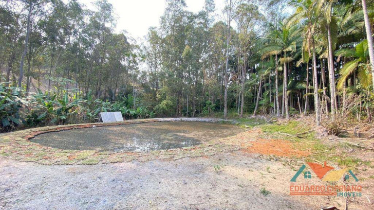 Terreno à Venda, 5.300 m² em Espírito Santo - Paraibuna