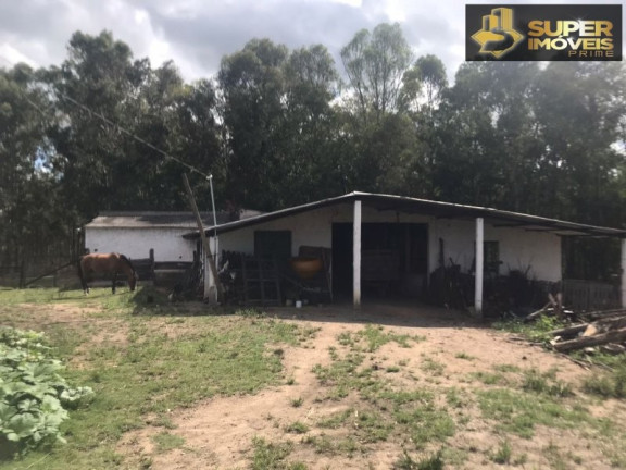 Imagem Imóvel com 7 Quartos à Venda, 120.000 m² em Monte Bonito - Pelotas Imagem Imóvel com 7 Quartos à Venda, 120.000 m² em Monte Bonito - Pelotas