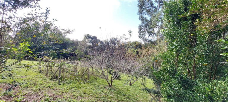 Imagem Chácara com 2 Quartos à Venda, 1 m² em Bateias - Campo Largo