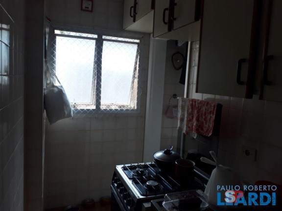 Imagem Apartamento com 3 Quartos à Venda, 77 m² em Vila Ipojuca - São Paulo Imagem Apartamento com 3 Quartos à Venda, 77 m² em Vila Ipojuca - São Paulo