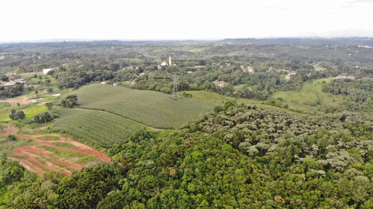 Imagem Terreno à Venda, 19.600 m² em Colônia Faria - Colombo