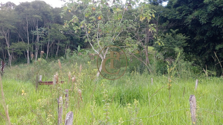 Imagem Chácara com 3 Quartos à Venda, 80.000 m² em Buquirinha - São José Dos Campos Imagem Chácara com 3 Quartos à Venda, 80.000 m² em Buquirinha - São José Dos Campos