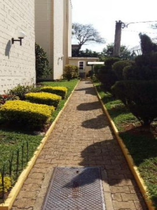 Imagem Apartamento com 2 Quartos à Venda, 50 m² em Parque São Luís - São Paulo Imagem Apartamento com 2 Quartos à Venda, 50 m² em Parque São Luís - São Paulo