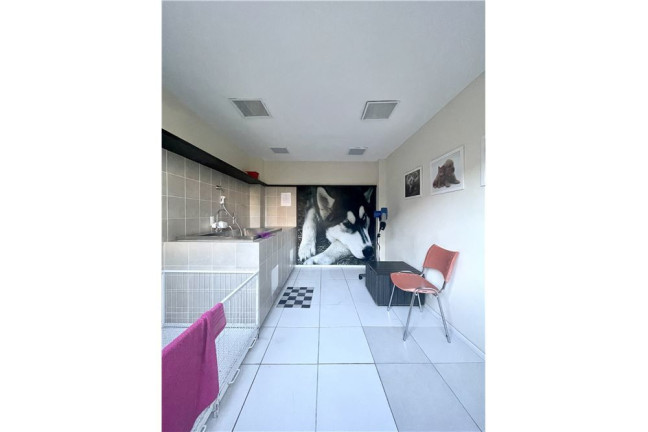 Imagem Imóvel com 3 Quartos à Venda, em Sarandi - Porto Alegre Imagem Imóvel com 3 Quartos à Venda, em Sarandi - Porto Alegre